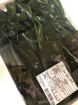 フジ きざみ塩わかめ 250g