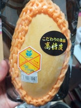 トロピカル マンゴーナムドクマイ 台湾産 1個