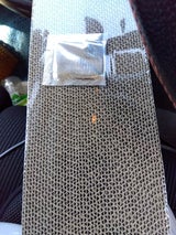 ワンニャン つめみがき コア