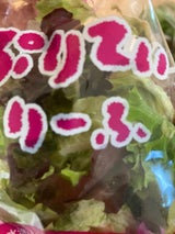 水戸 ベビーリーフ