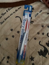 マニトバ デイリーコンパクトハブラシやわらかめ1本