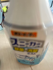 オドイーター スニーカー用除菌消臭ミスト250mlの商品写真
