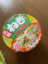 ニュータッチ 元祖ねぎラーメン 102g