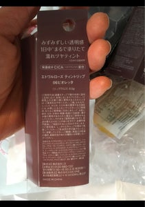 ER ティントリップ06ビオレッタ 6.5gの商品写真