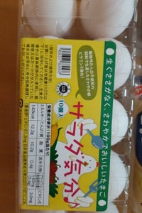 ホクリヨウ サラダ気分 10コの商品写真