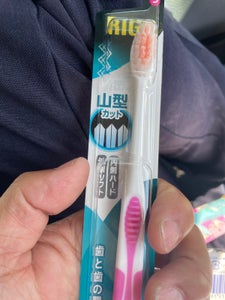 エビス リグ 山型ハブラシ ふつう 1本の商品写真