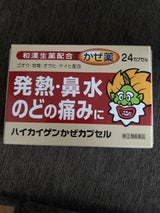 ハイカイゲンかぜカプセル 24カプセル