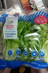 バイテック 石川県産フリルレタス 240g×2P