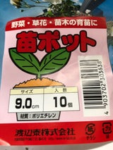 渡辺泰 苗ポット 9.0cm 10個