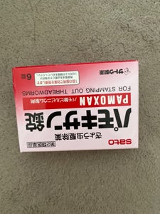 パモキサン錠 6錠の商品写真