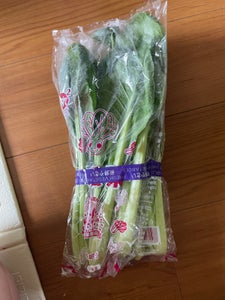 商品写真