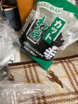 小松平 中国産カットわかめ 40g