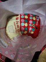 福井 ひかり精米 10kg