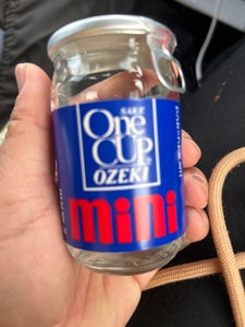 大関 ワンカップ ミニ 瓶 100mlのレビュー画像