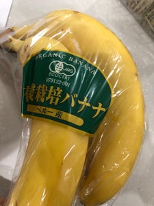 日本フレッシュ　有機栽培バナナのレビュー画像
