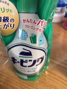 キーピング　アイロン用のり剤　つめかえ　３５０ｍｌの商品写真