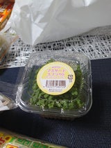 すぷらうと マスタードスプラウト 1P