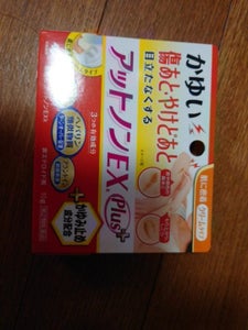 アットノンEXかゆみ止めプラス 10gの商品写真