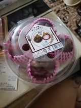 トロピカルST マンゴスチン