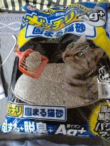 ＩＲＩＳ　がっちり固まる猫砂ＡＧ＋　８Ｌのレビュー画像