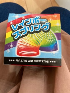 ヒロイチ レインボースプリング 1Pの商品写真