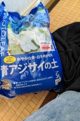 プロトリーフ 青アジサイの土 5L