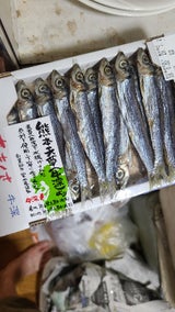 山下 うるめ丸干(上乾) 100g