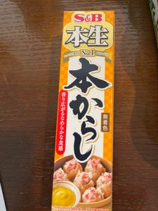 Ｓ＆Ｂ　本生　本からし　４３ｇの商品写真