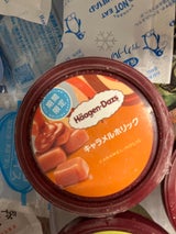 ハーゲンダッツ キャラメルホリック 110ml