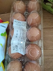 全国たまご　平飼受精卵　ＡＤＥ卵　１０個の商品写真