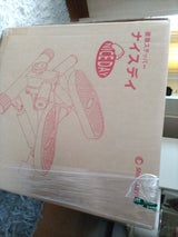 オークローン 健康ステッパー ナイスデイ レッド