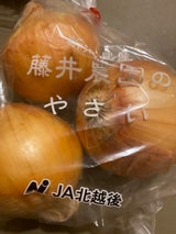 JA新潟 玉ねぎ(藤井農園)
