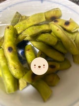 ユーシーポリマー 枝豆用ネット