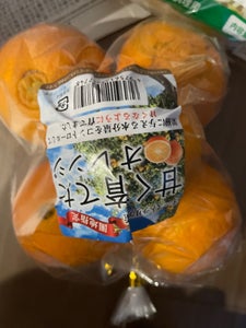 ケーアイ　ネーブルオレンジケミカル　袋入のレビュー画像