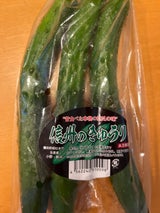 AF 小野さん家の信州のきゅうり 3本