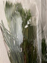 ダイエー スティックココアオレ