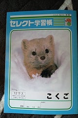 文運堂 学習帳こくご B5