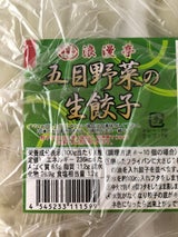 浪漫亭 オリジナル五目野菜生餃子 18gX8