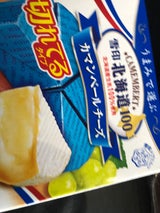 雪印北海道100カマンベール切れてるタイプ100g