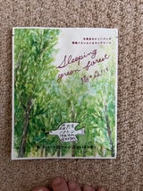森たちバトン バスB 陽の森たち 30g