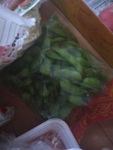 石本マオラン えだまめ用袋