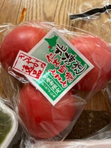 オリエンタル 仁木産とまと