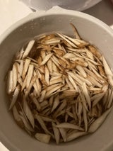 山福青果 一尺ごぼう 鹿児島県産