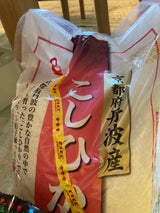 大阪第一 京都府 丹波 こしひかり 5kg