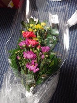 ジャパンプランツ 仏花