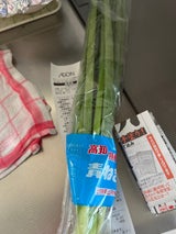 土佐 青ねぎ