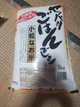 伊藤 やっぱりご飯でしょう 5kg