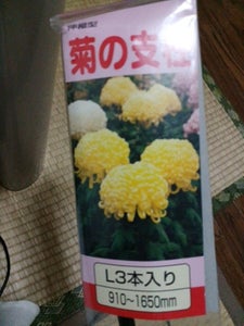 タイ キクノシチユウL 91−165Cのレビュー画像