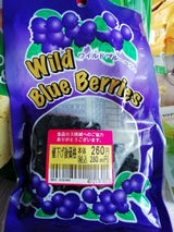 志立 ワイルドブルーベリー 100g