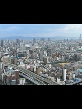 フジ 大福みたいなホイップあんぱん 蜜いも